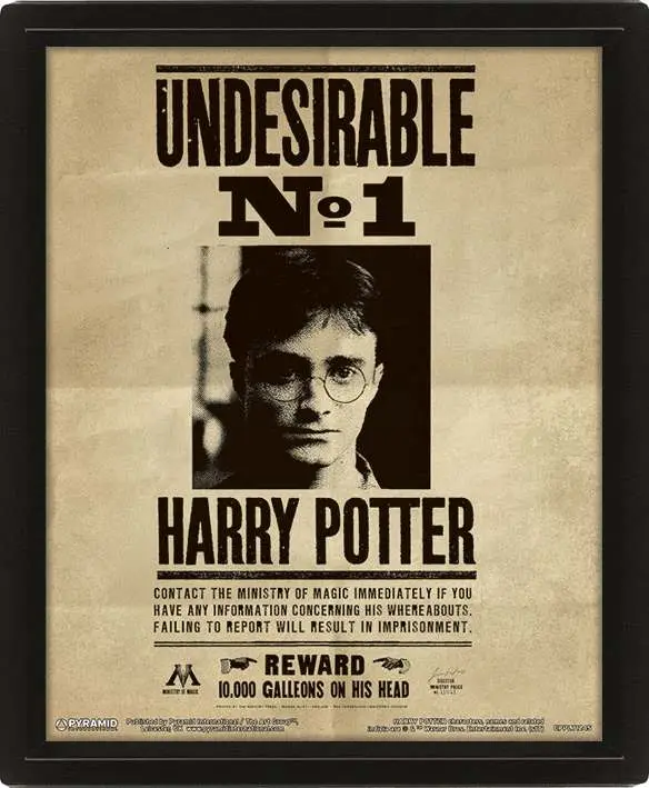 Poster Harry Potter wanted 3d lenticular